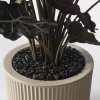 plante unique pot décoration