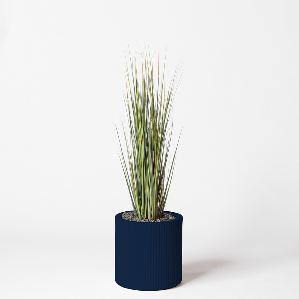 Onion grass - Bleu