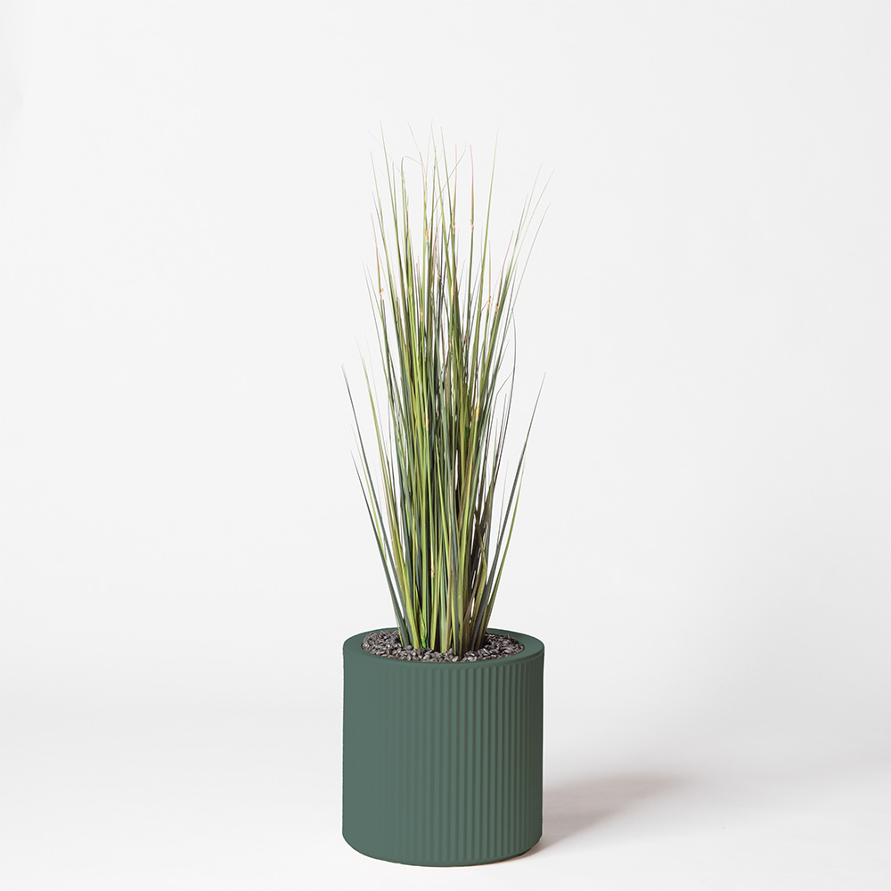 Onion grass - Vert