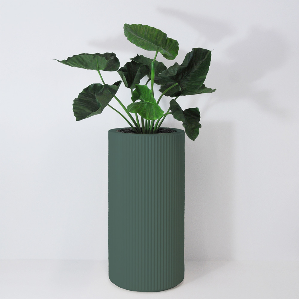 Alocasia calidora - Vert