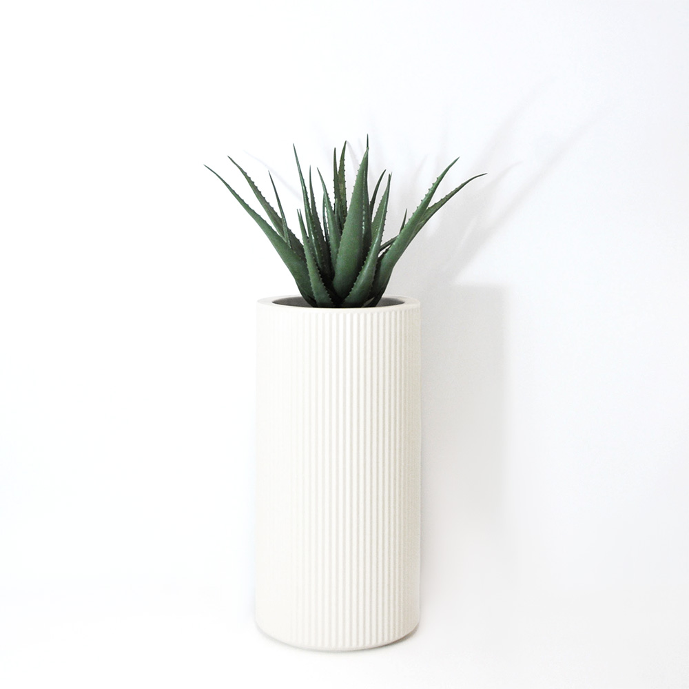 Aloe vera - Blanc
