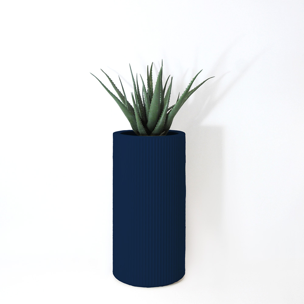 Aloe vera - Bleu