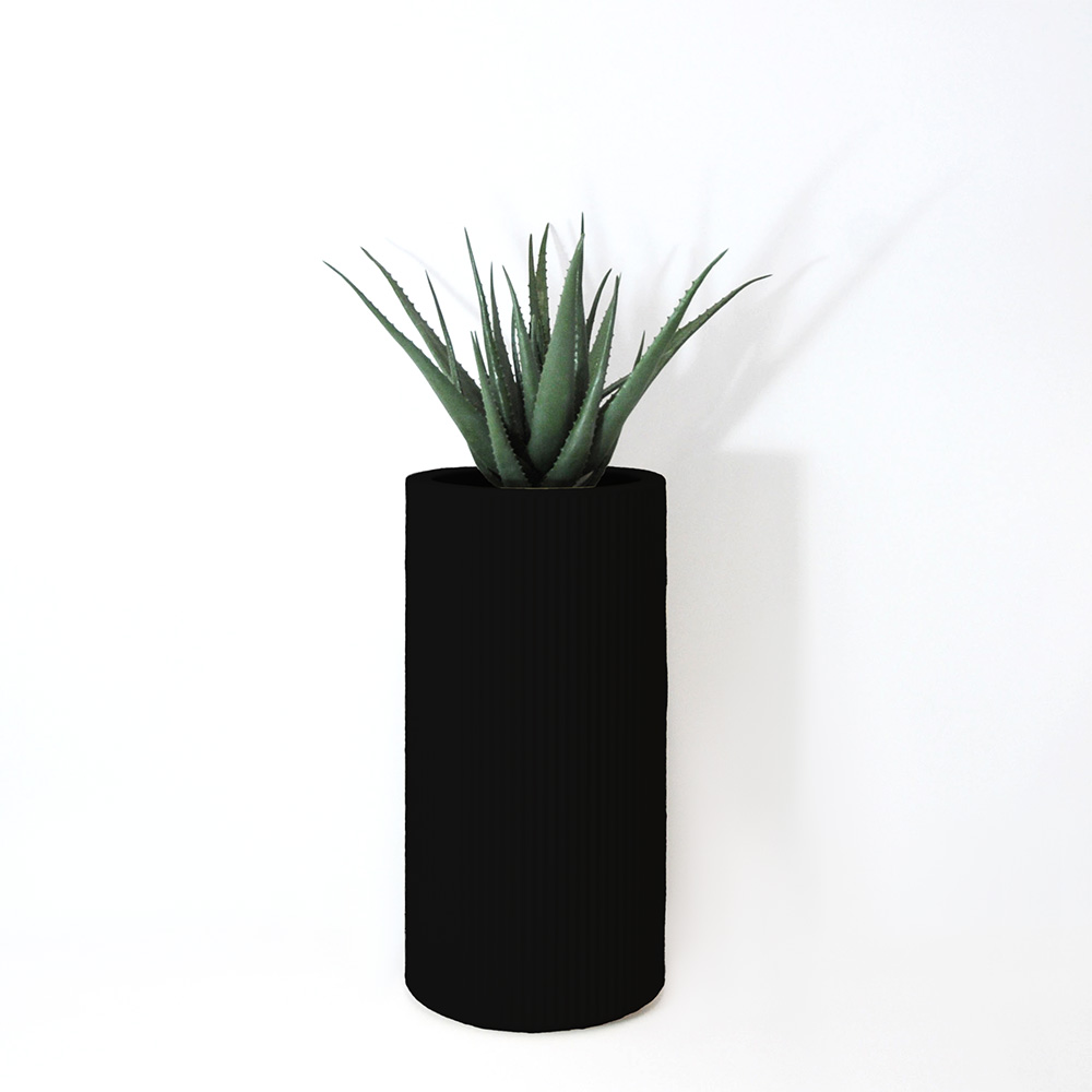 Aloe vera - Noir