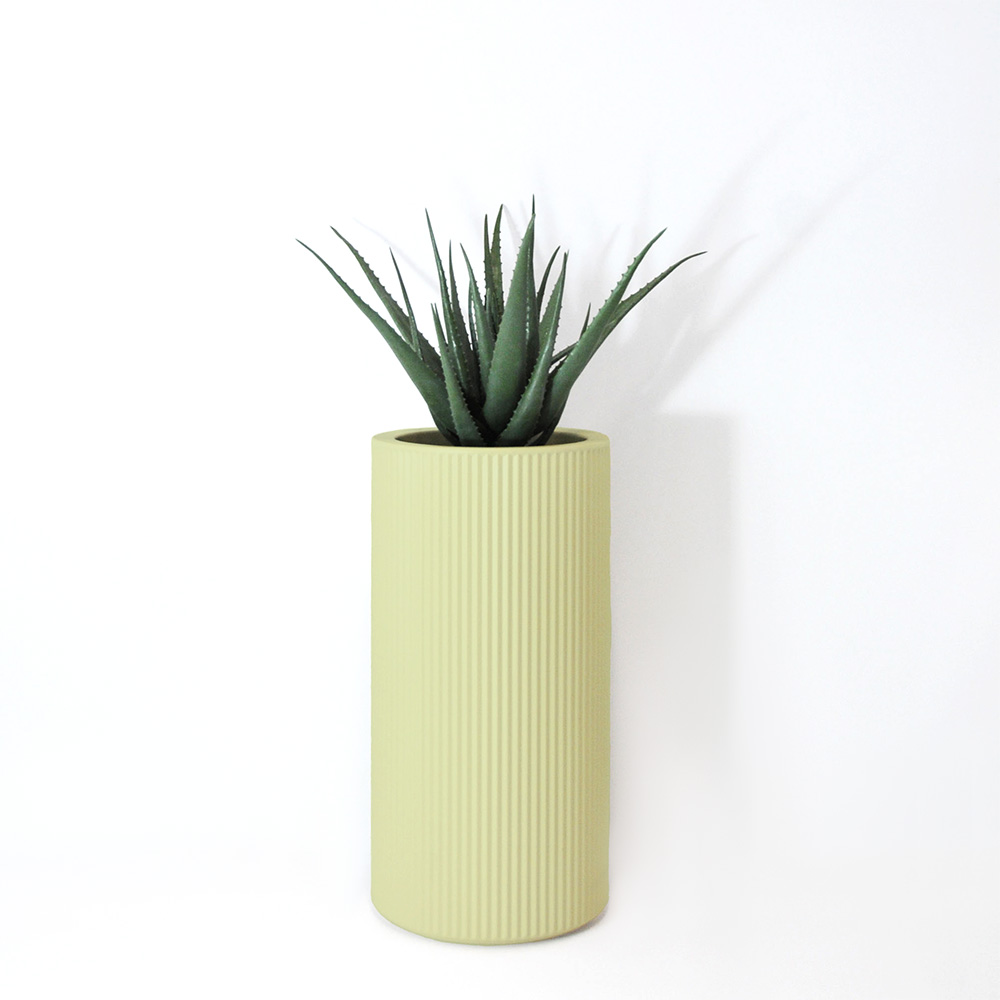 Aloe vera - Pistache