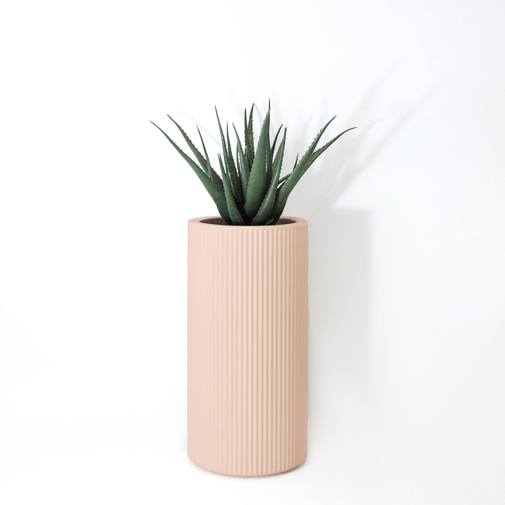 Aloe vera - Rose