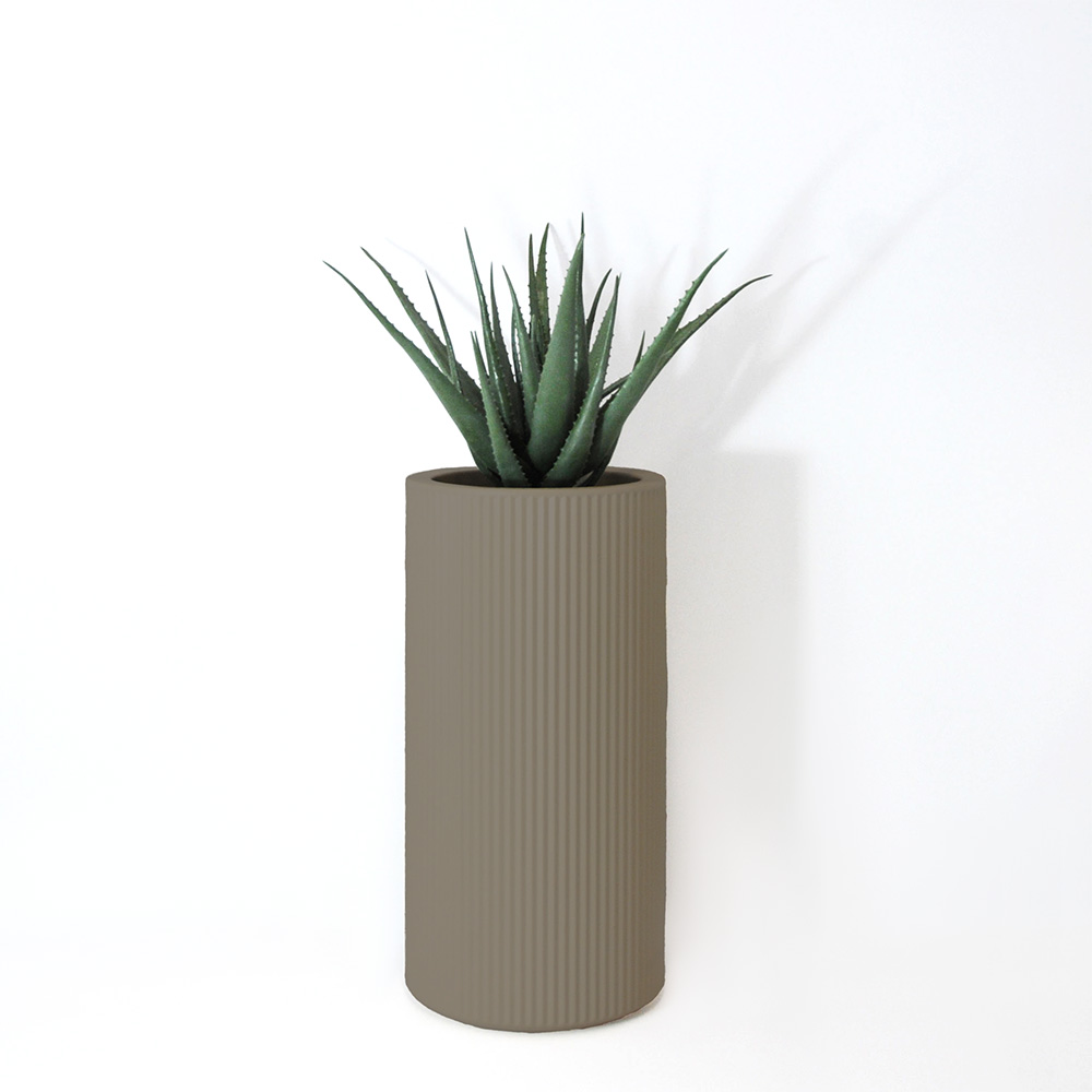 Aloe vera - Tortora