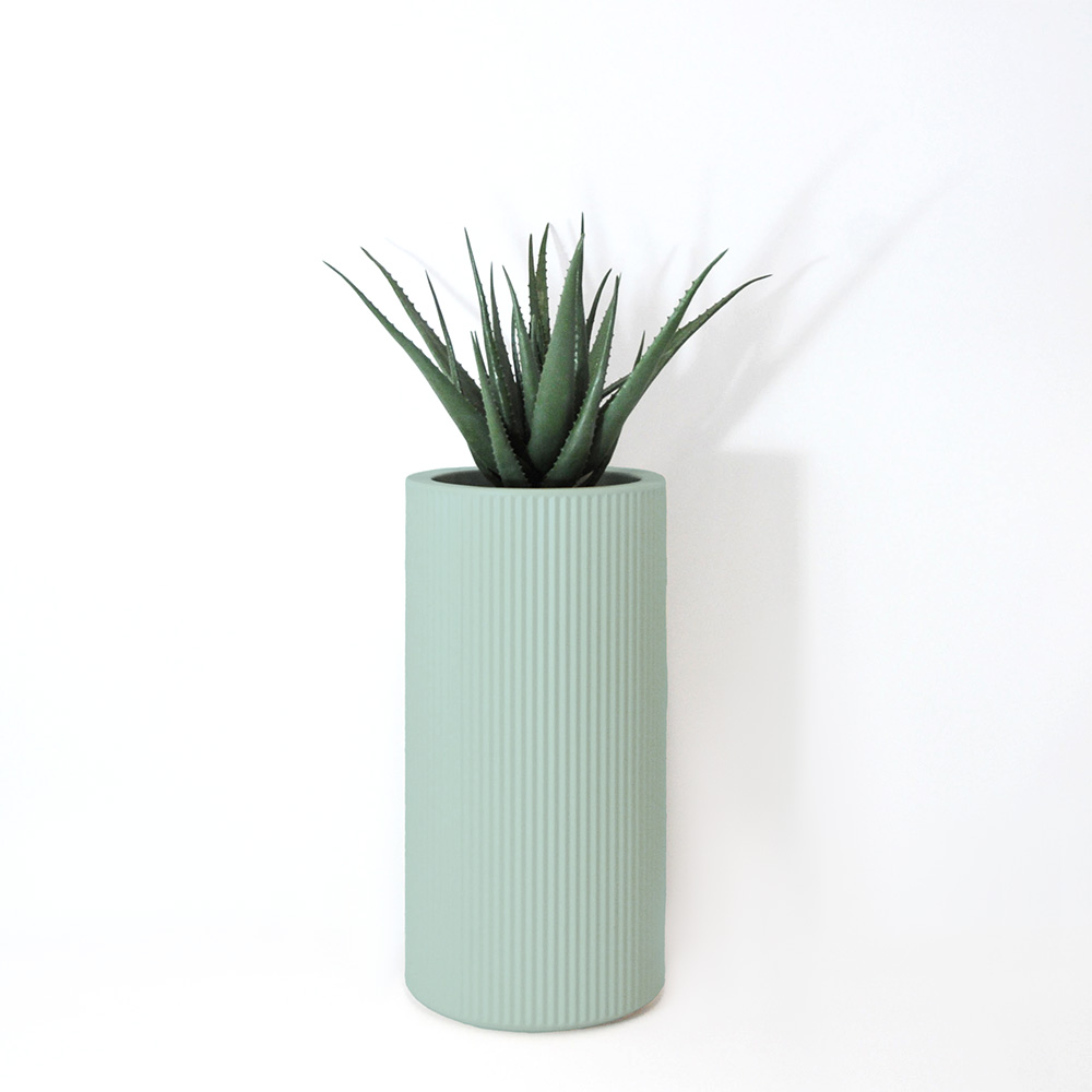 Aloe vera - Turquoise