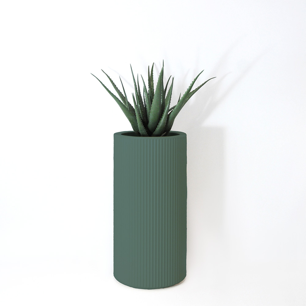 Aloe vera - Vert