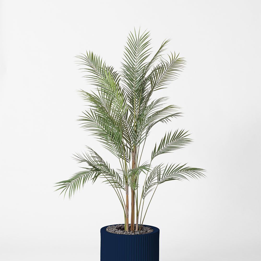 Areca - Bleu