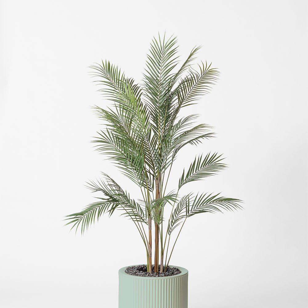 Areca - Turquoise