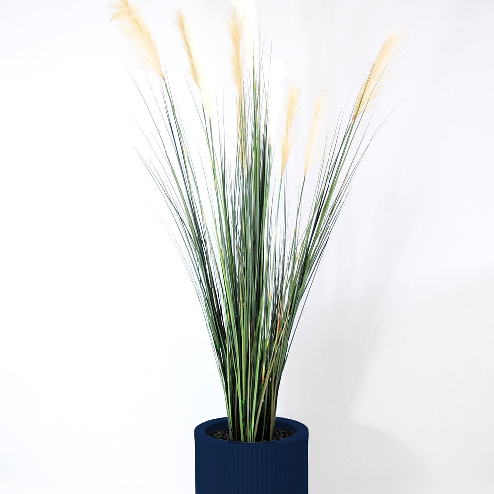 Carex - Bleu