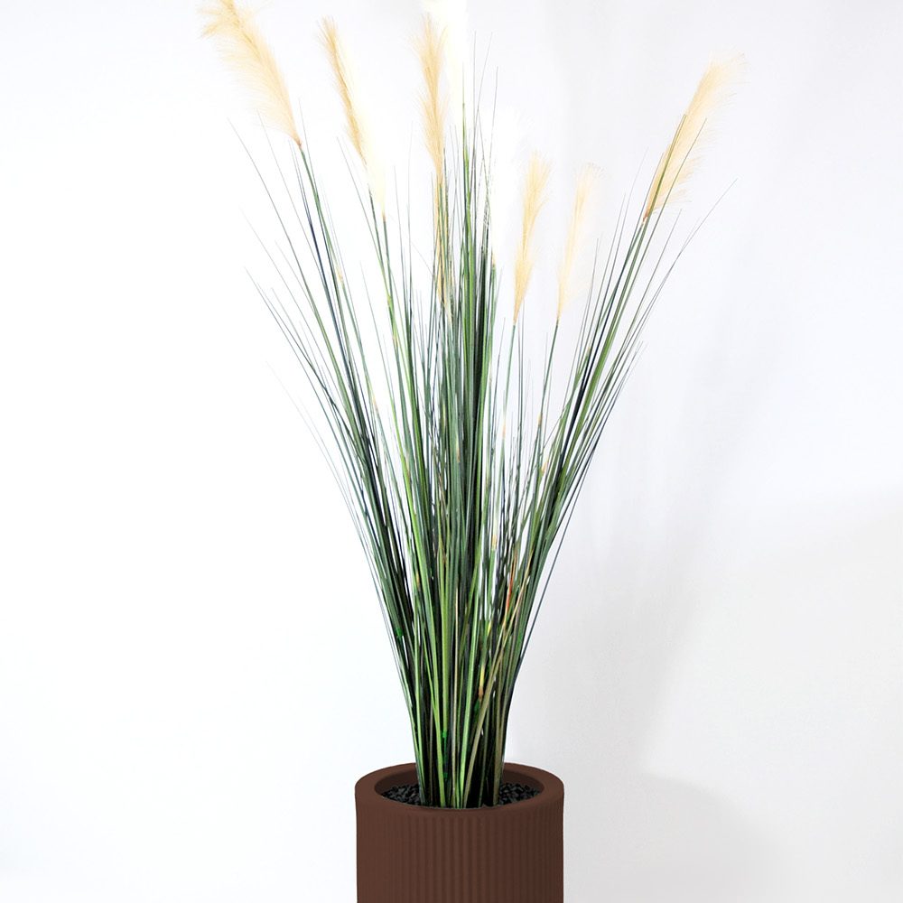 Carex - Marron