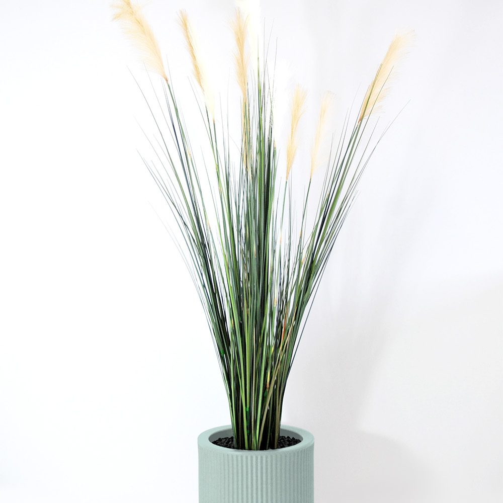 Carex - Turquoise