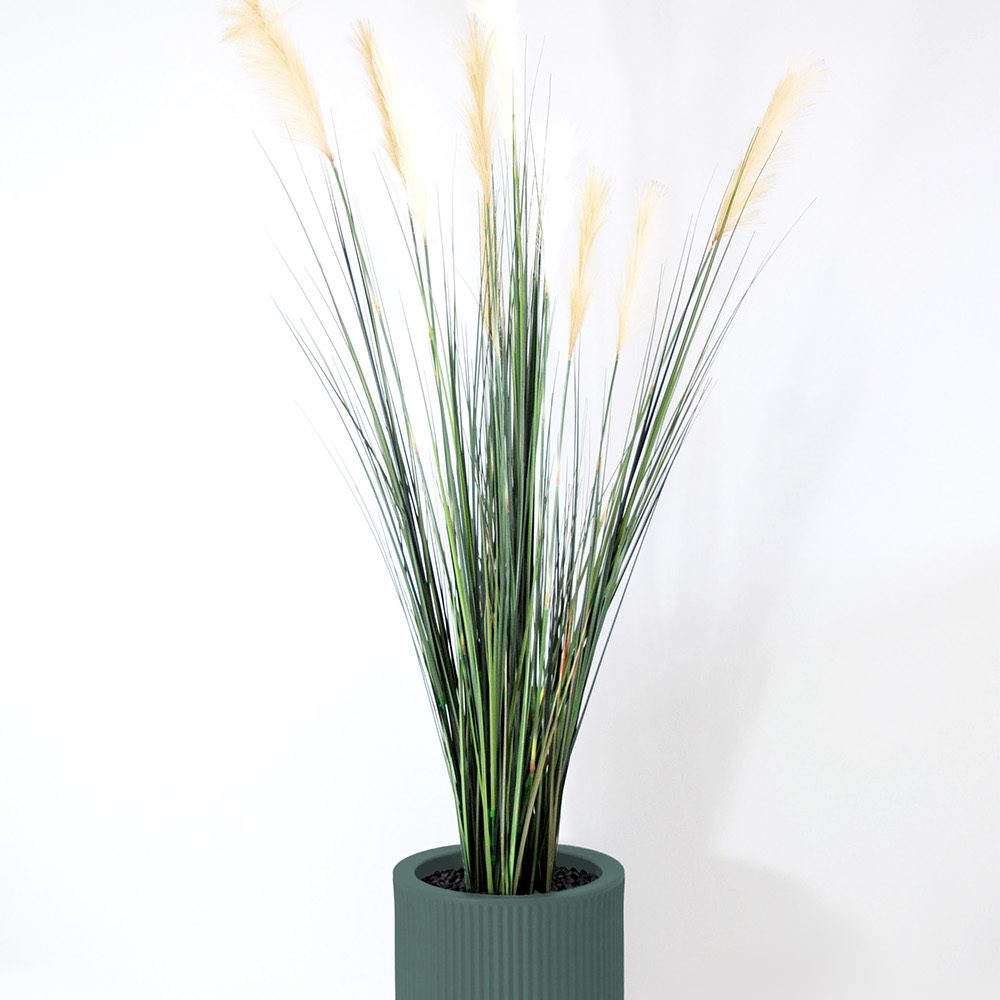 Carex - Vert