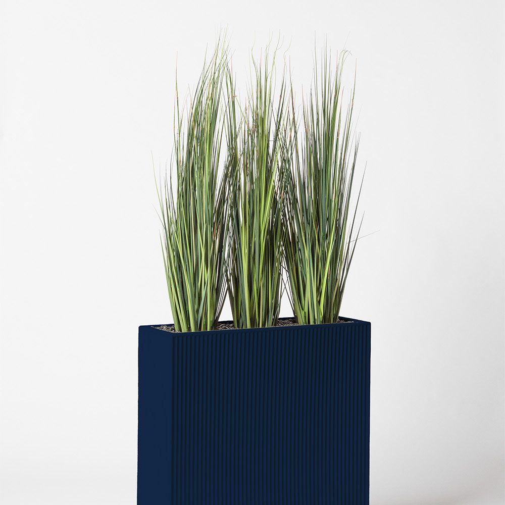 Onion grass bambou - Bleu