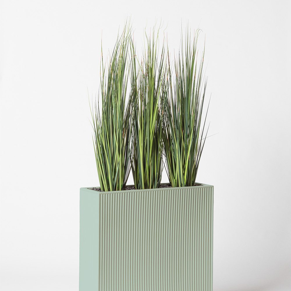Onion grass bambou - Turquoise