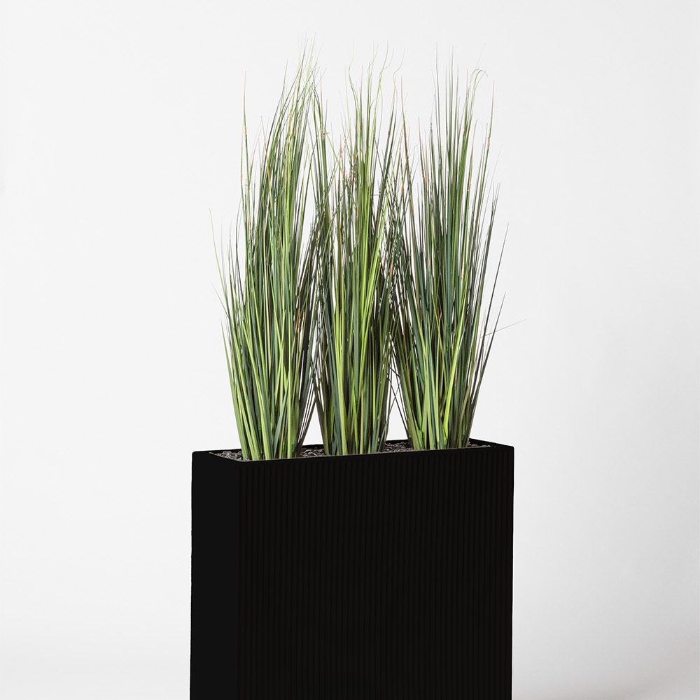 Onion grass bambou - Noir