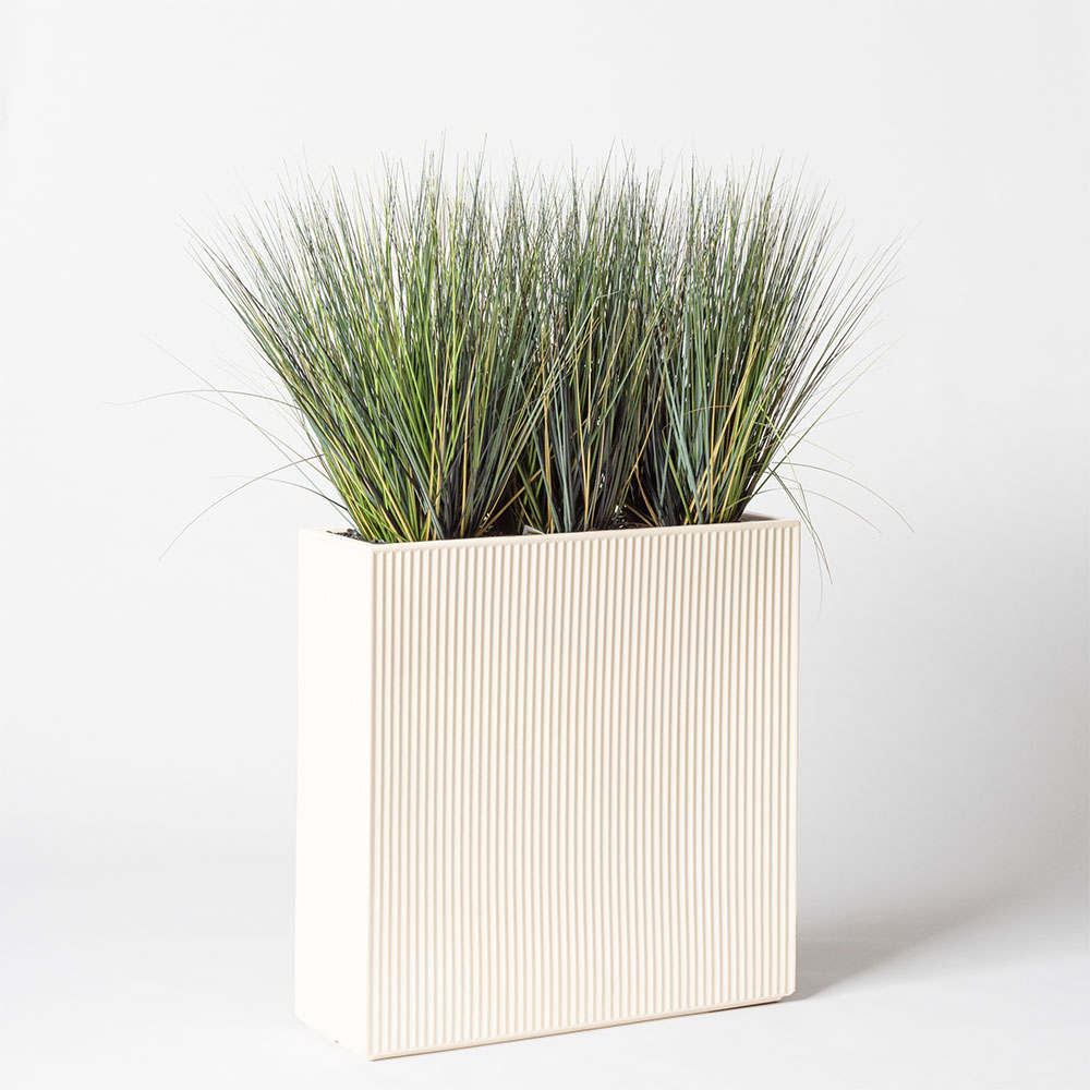 Onion grass new round - Blanc