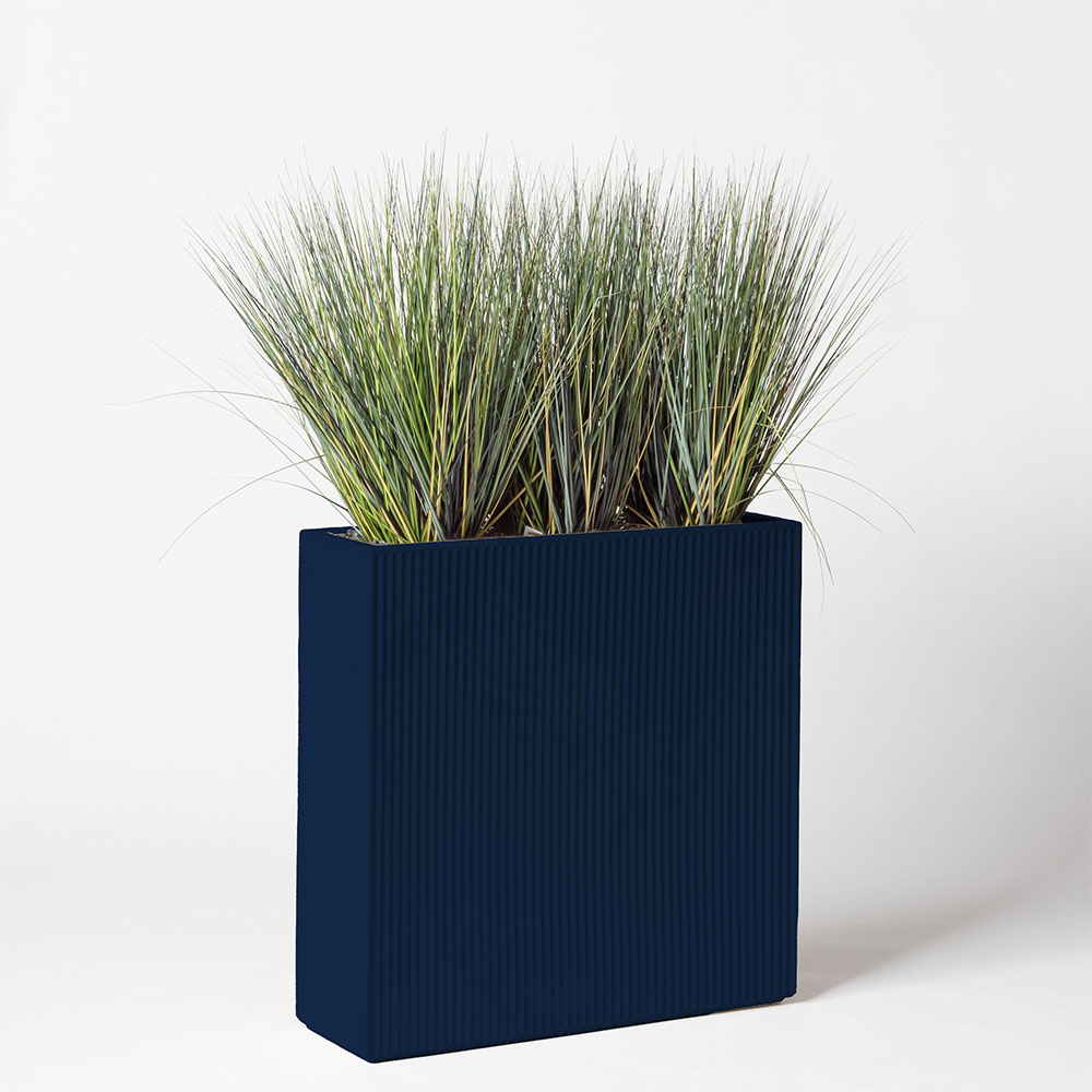 Onion grass new round - Bleu