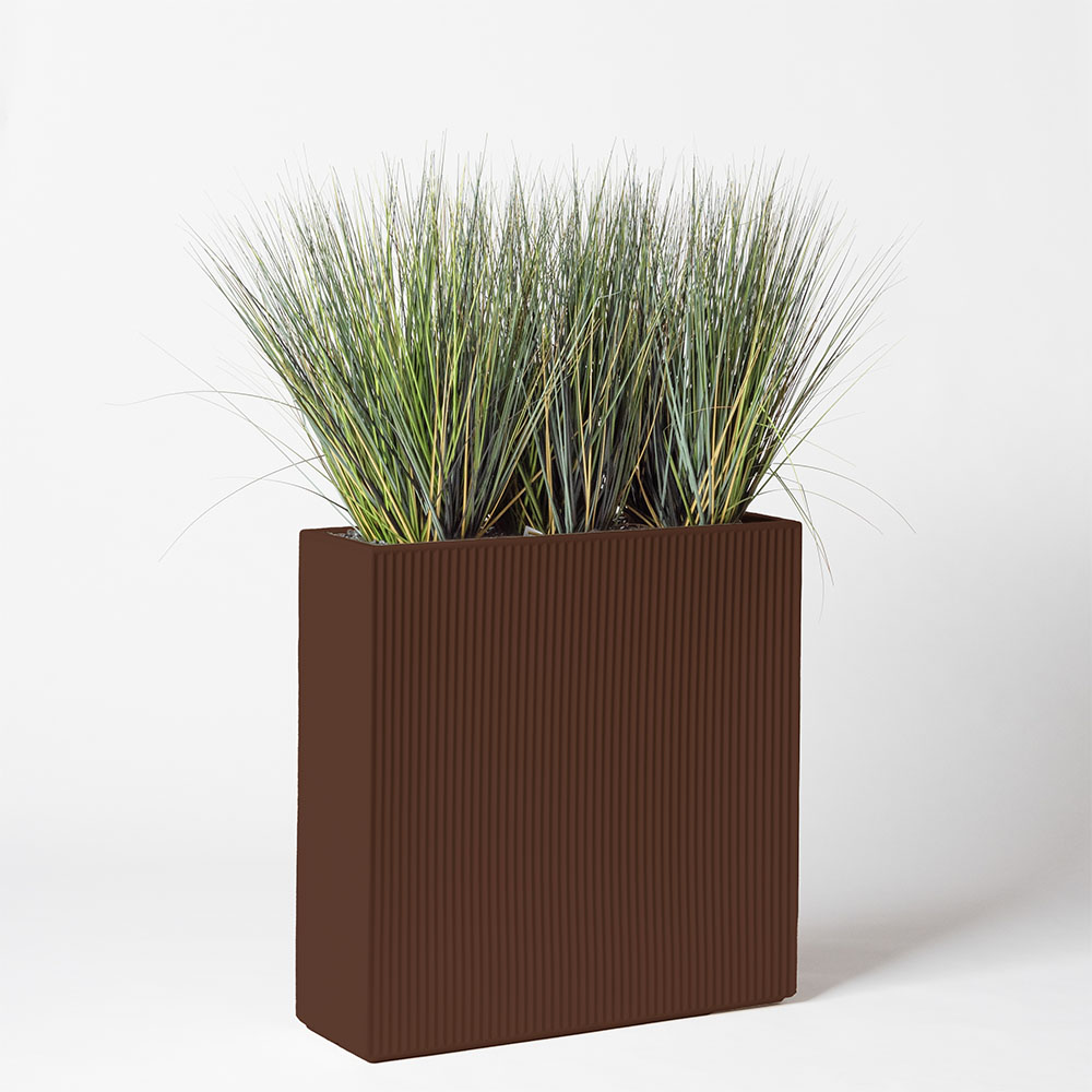 Onion grass new round - Marron
