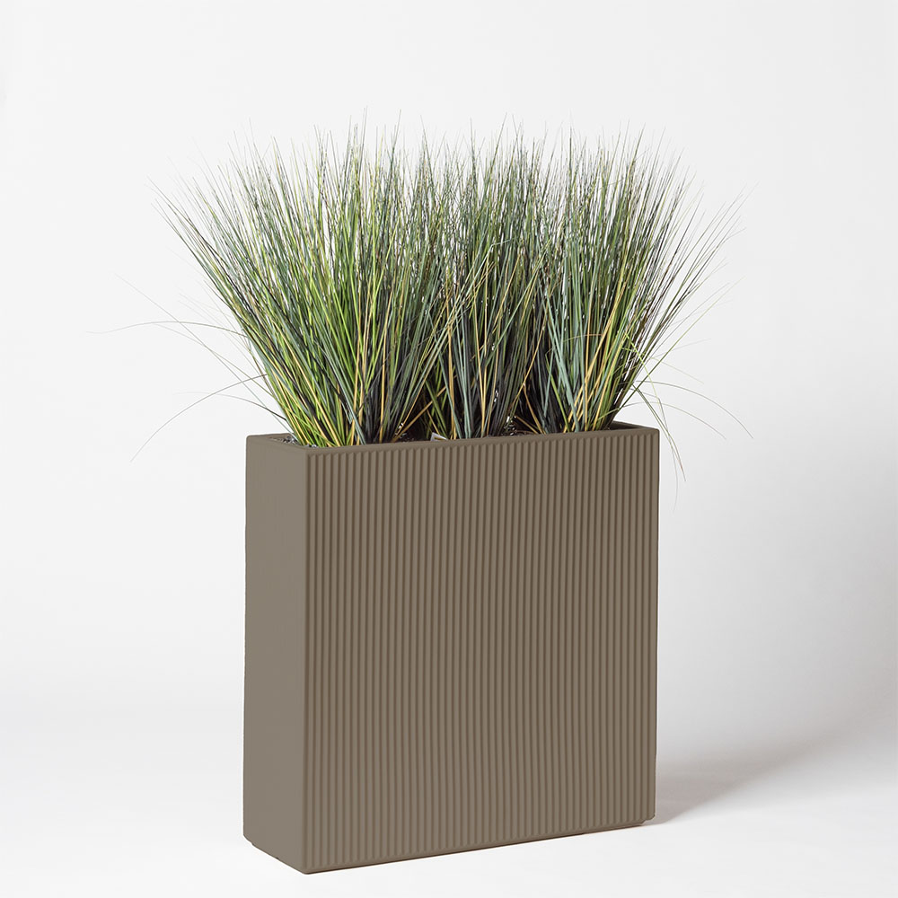Onion grass new round - Tortora