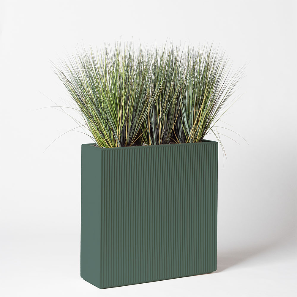 Onion grass new round - Vert
