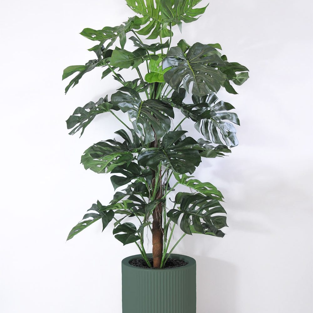 Philo tuteur - Vert