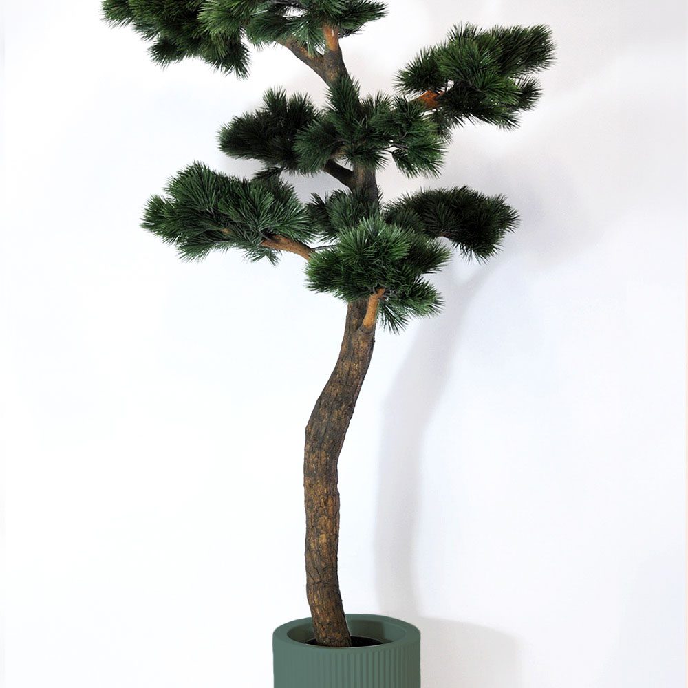 Pin Bonsaï - Vert