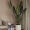 Traveller palm – Image 2