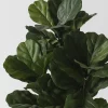 plante artificielle plante unique