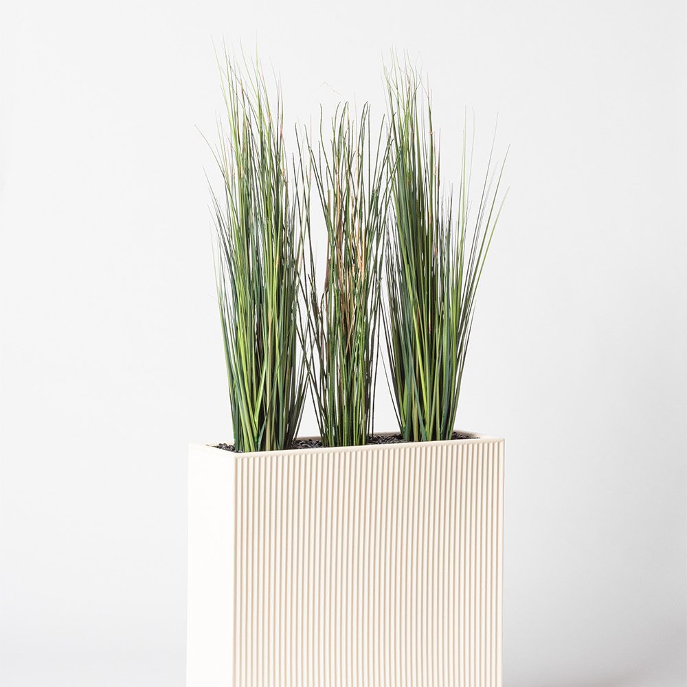 Presle grass - Blanc