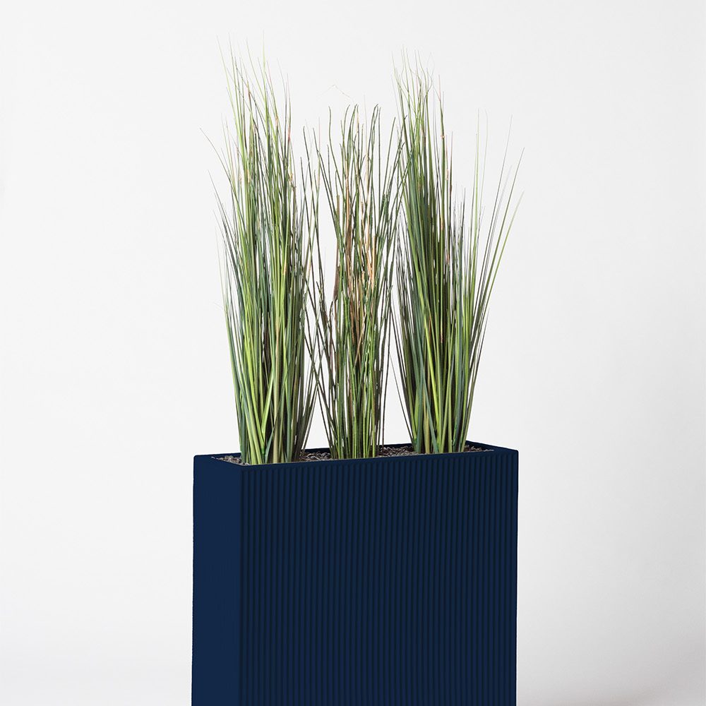 Presle grass - Bleu