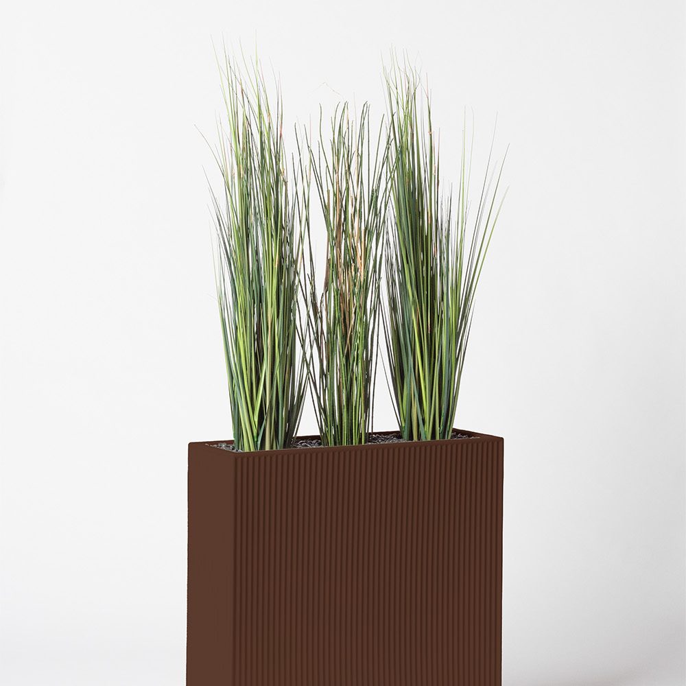 Presle grass - Marron
