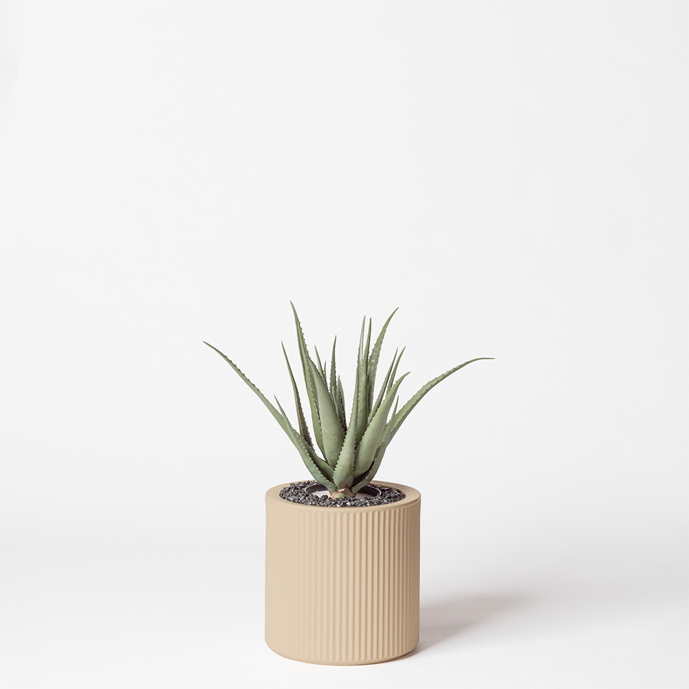 Aloe vera - Crème