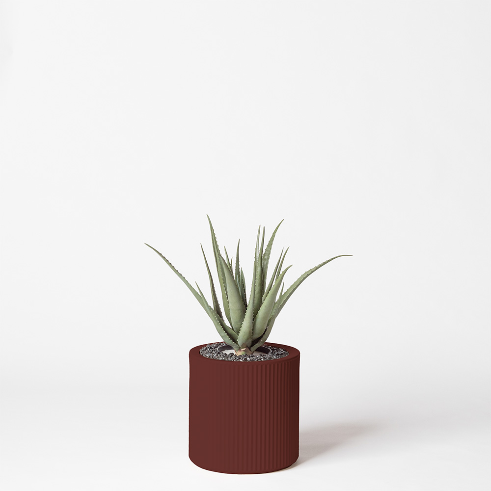 Aloe vera - Grenat