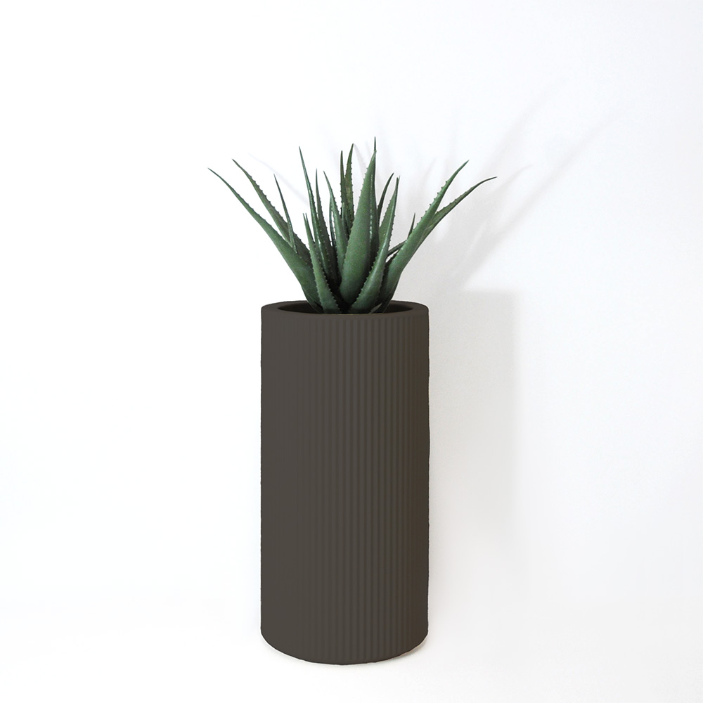 Aloe vera - Anthracite