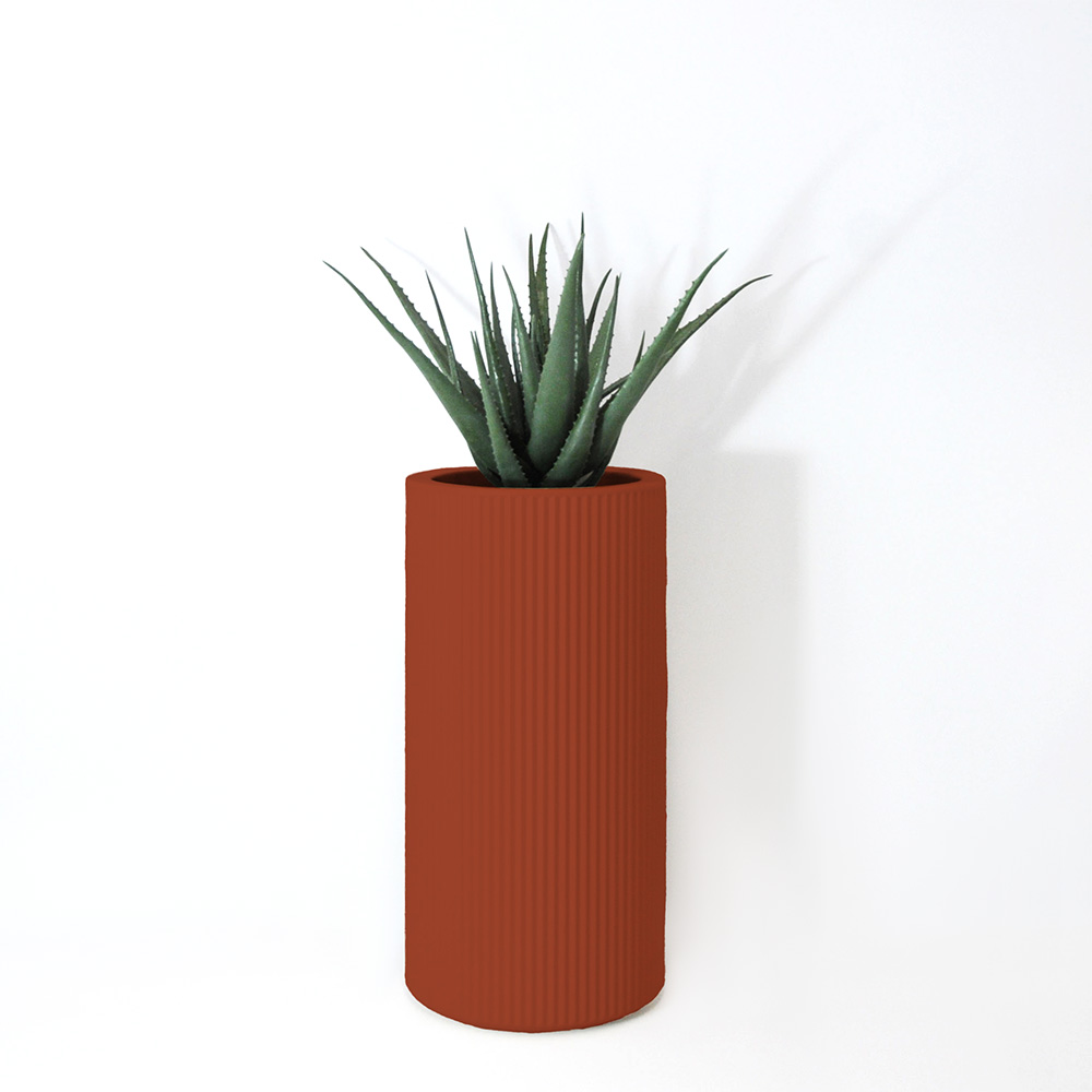 Aloe vera - Argile