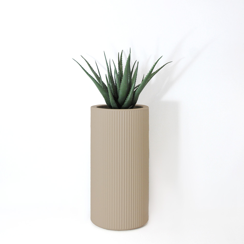 Aloe vera - Ecru