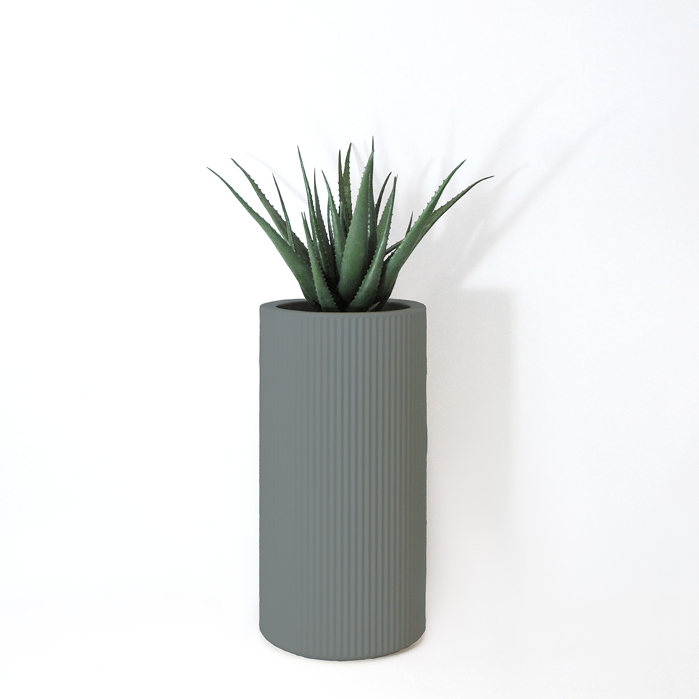 Aloe vera - Gris