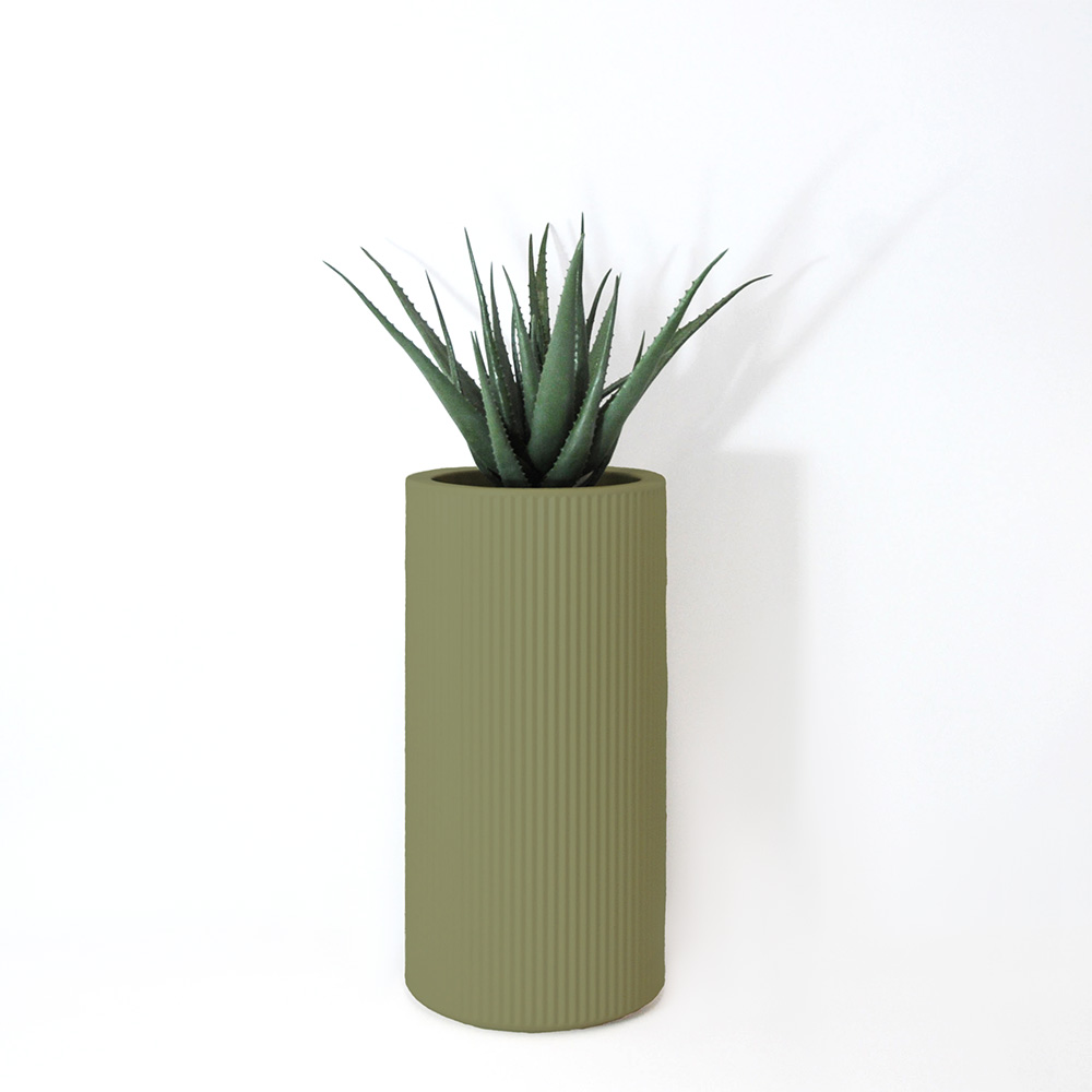 Aloe vera - Jade