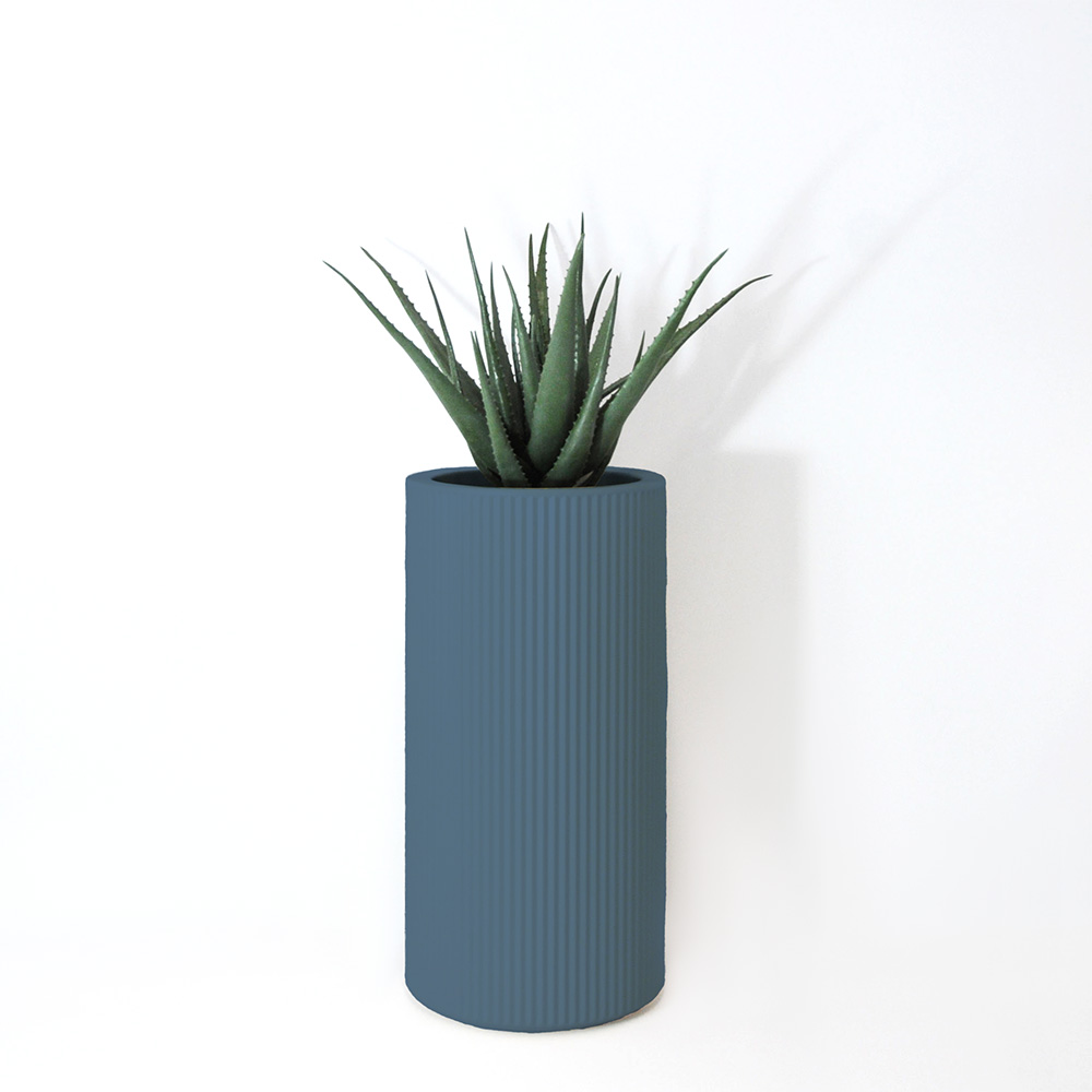 Aloe vera - Océan