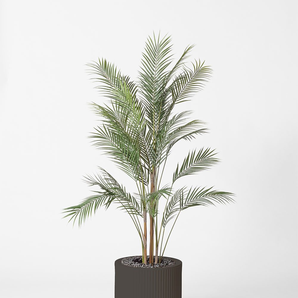 Areca - Anthracite