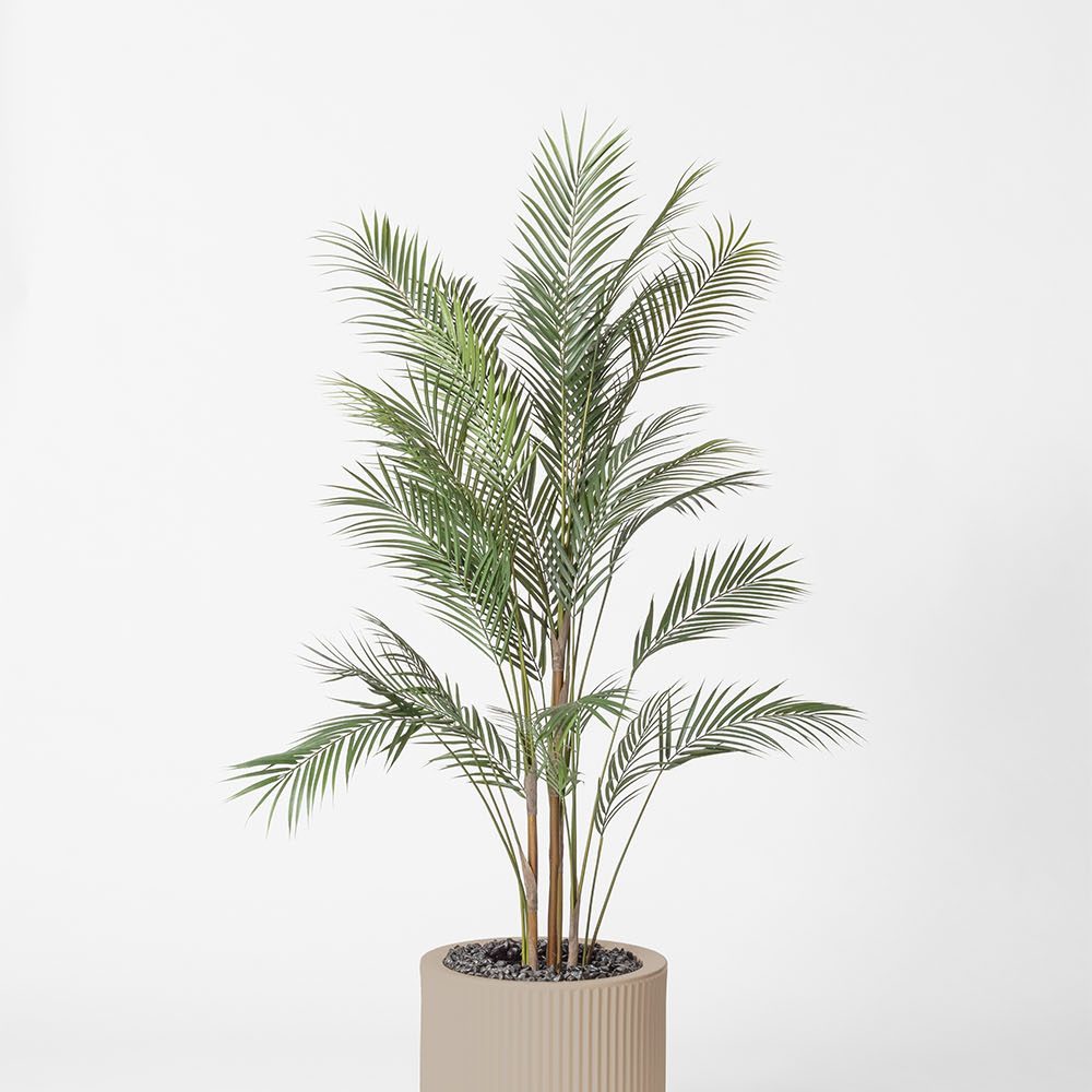 Areca - Ecru