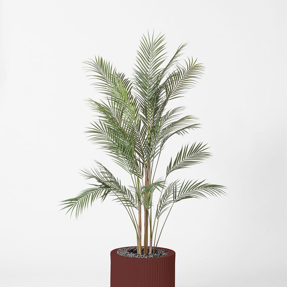 Areca - Grenat