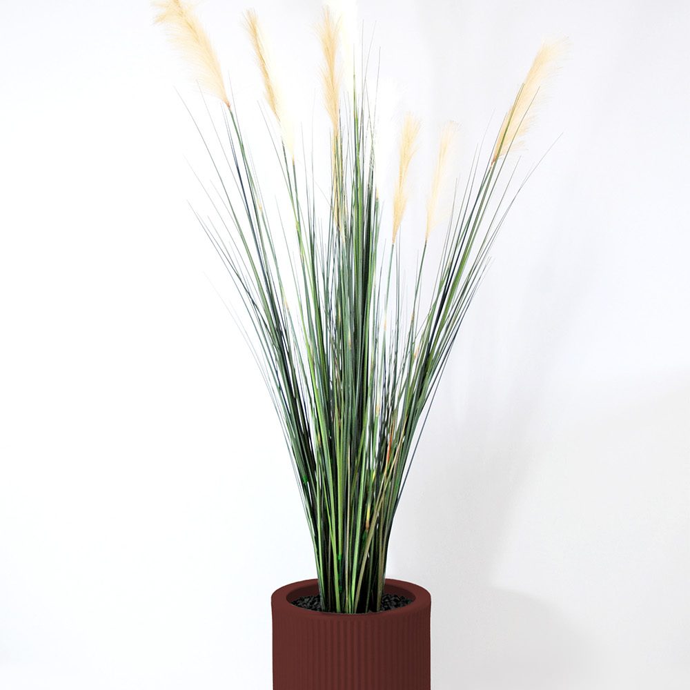 Carex - Grenat