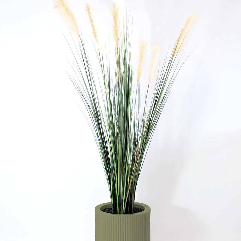 Carex - Jade