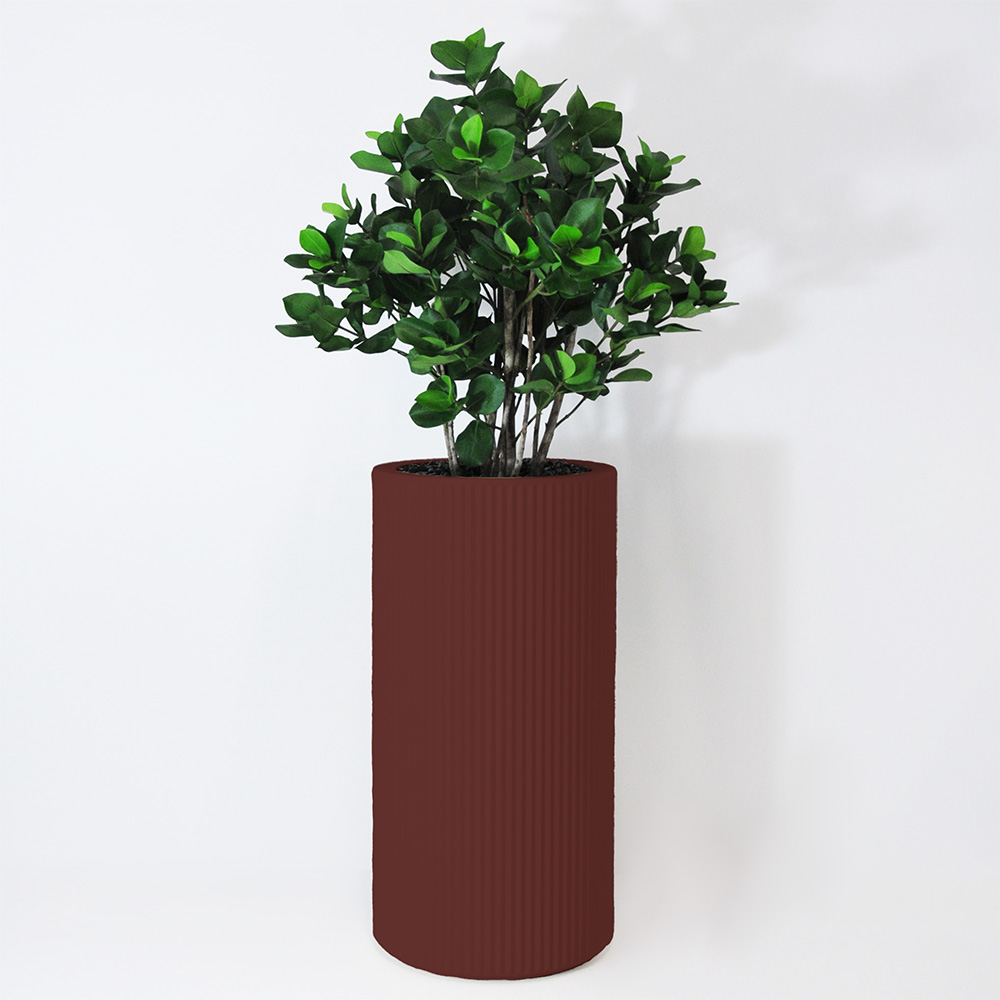 Clusia buisson - Grenat
