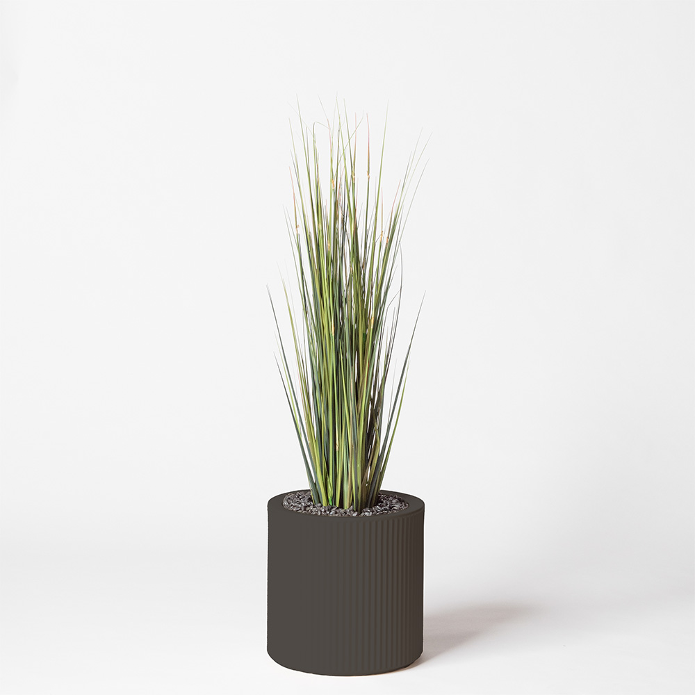 Onion grass - Anthracite