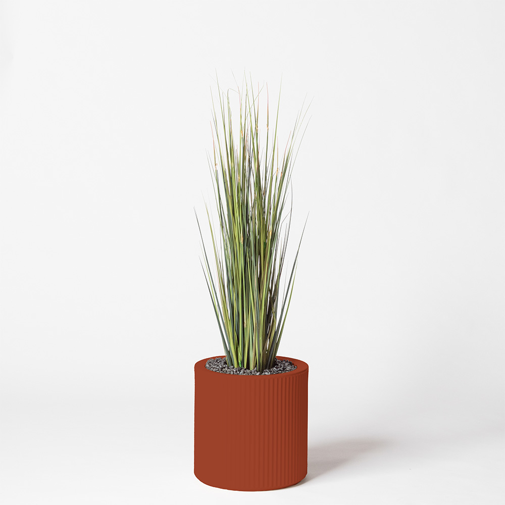 Onion grass - Argile