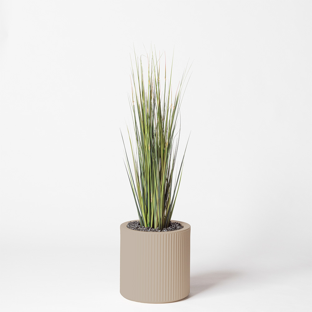 Onion grass - Ecru